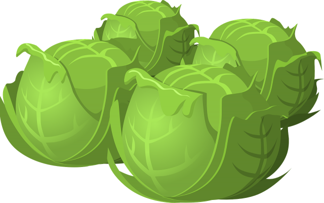 cabbage-575525_1280